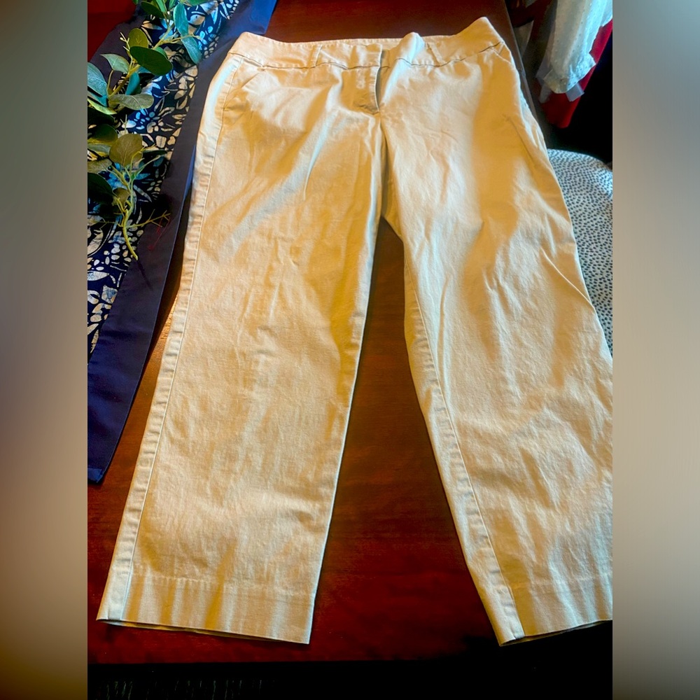 ANN TAYLOR CROPPED TAN KHAKI CHINOS STRAIGHT FIT WIDE WAIST BAND SIZE 14